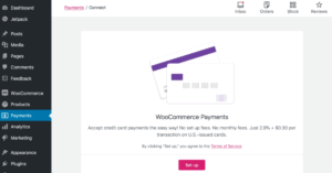 The Best WooCommerce Payment Gateway